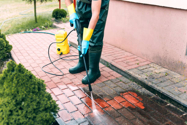 Best Animal Enclosure Cleaning  in Montclair, VA